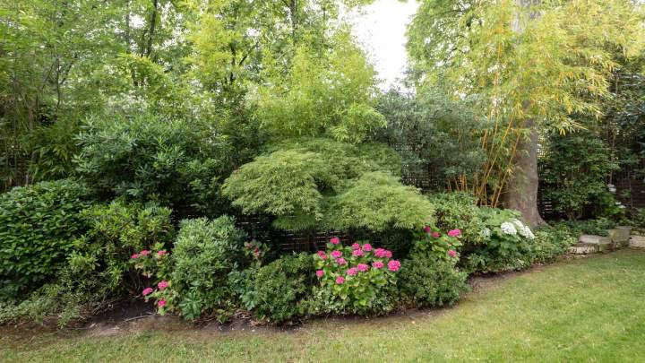 FLORASIA (1)