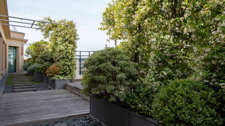Création végétale immeuble Hauts-de-Seine