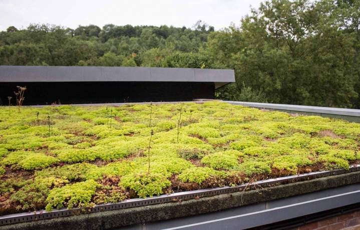 Végétalisation toit terrasse immeuble Hauts-de-Seine