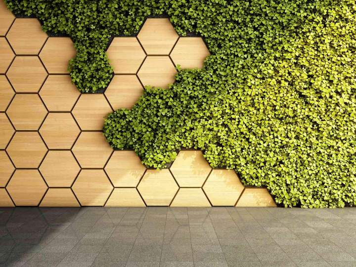 Design jardin végétal Hauts-de-Seine