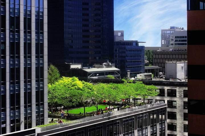 Paysagiste terrasse, Suresnes