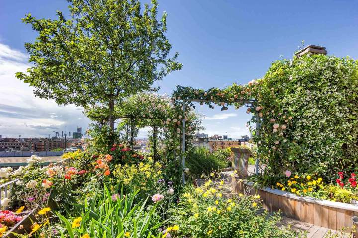 Végétalisation toit-terrasse – Hauts-de-Seine